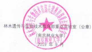 QQ截图20190925170940